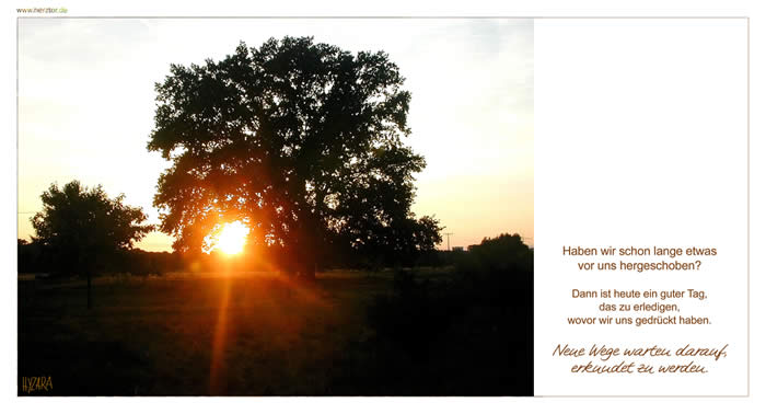 Das Sonnentor zu neuen Wegen - Haben wir schon lange etwas vor uns hergeschoben? Dann ist heute ein guter Tag, das zu erledigen, wovor wir uns gedrückt haben. Neue Wege warten darauf, erkundet zu werden.