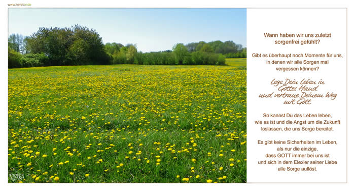 sorgenfrei- Wann haben wir uns zuletzt sorgenfrei gefühlt? Gibt es überhaupt noch Momente für uns, in denen wir alle Sorgen mal vergessen können? Lege Dein Leben in Gottes Hand und vertraue Deinem Weg mit Gott. So kannst Du das Leben leben, wie es ist und die Angst um die Zukunft loslassen, die uns Sorge bereitet. Es gibt keine Sicherheiten im Leben, als nur die einzige, dass GOTT immer bei uns ist und sich in dem Elexier seiner Liebe alle Sorge auflöst.