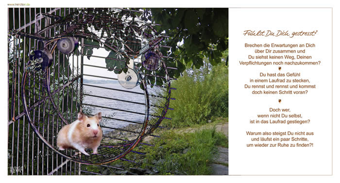 Fühlst Du Dich gestresst? Brechen die Erwartungen an Dich über Dir zusammen und Du siehst keinen Weg, Deinen Verpflichtungen noch nachzukommen? Du hast das Gefühl in einem Laufrad zu stecken, Du rennst und rennst und kommst doch keinen Schritt voran? Doch wer, wenn nicht Du selbst, ist in das Laufrad gestiegen? Warum also steigst Du nicht aus und läufst ein paar Schritte, um wieder zur Ruhe zu finden?! Stress?