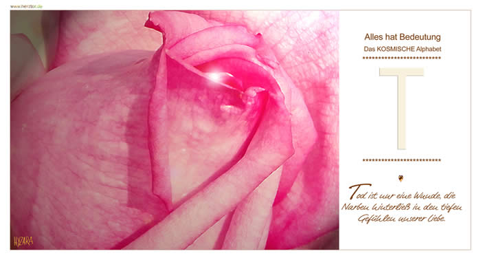 Tod ist nur eine Wunde, die Narben hinterließ in den tiefen Gefühlen unserer Liebe. Wie das "I" ist auch das "T" eine DIREKTE VERBINDUNG zum HIMMLISCHEN, das mit größter KRAFT durch und für uns wirkt. Wie ein Dach liegt der Querbalken auf der senkrechten Linie, die oberste Line, die für die KOSMISCHE EBENE steht. Das "T", mit dem wir auch das Wort "TRENNUNG" assoziieren. Durch unsere Geburt, kommern wir auf die ERDE hinab, um unsere Lebensaufgabe zu ERFÜLLEN, doch betrachte das "t" in seiner verbalen Schreibweise, so wird schnell klar, dass wir nie ganz vom HIMMEL getrennt sind, sondern GOTT aktiv in uns wirkt! Das "T" fordert zum aktiven HANDELN auf und ist auch SYMBOL der REINKARNATION! Durch den TOD kehren wir auch einst wieder zu GOTT zurück! Grade die Dopplung des Buchstabens, wie in dem Wort * GO "TT" * bezeichnet, dass wir mit GOTT: EINS sind, UNTRENNBAR. Wie das Phänomen des mathematischen ZEICHENS für die irrationale Kreiszahl "PI", steht das "TT" für die UNENDLICHKEIT und EWIGKEIT GOTTES und unseres eigenen WEGES. T - Das KOSMISCHE Alphabet