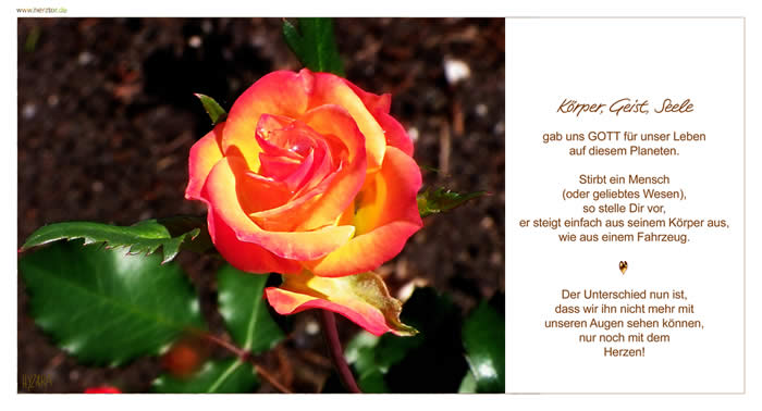 Tod - Körper, Geist, Seele gab uns GOTT für unser Leben auf diesem Planeten. Stirbt ein Mensch (oder geliebtes Wesen), so stelle Dir vor, er steigt einfach aus seinem Körper aus, wie aus einem Fahrzeug. Der Unterschied nun ist, dass wir ihn nicht mehr mit unseren Augen sehen können, nur noch mit dem Herzen!