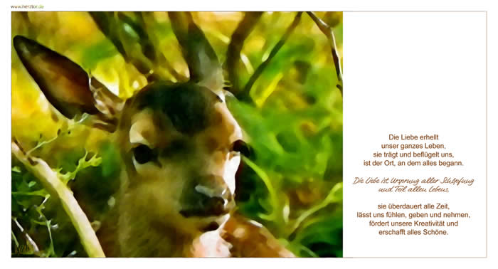 Über die Liebe - Die Liebe erhellt unser ganzes Leben, sie trägt und beflügelt uns, ist der Ort, an dem alles begann. Die Liebe ist Ursprung aller Schöpfung und Teil allen Lebens, sie überdauert alle Zeit, lässt uns fühlen, geben und nehmen, fördert unsere Kreativität und erschafft alles Schöne