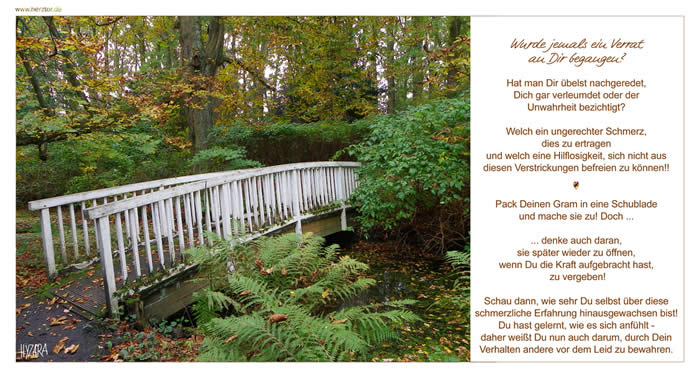 Wurde jemals ein Verrat an Dir begangen? Hat man Dir übelst nachgeredet, Dich gar verleumdet oder der Unwahrheit bezichtigt? Welch ein ungerechter Schmerz, dies zu ertragen und welch eine Hilflosigkeit, sich nicht aus diesen Verstrickungen befreien zu können!! Pack Deinen Gram in eine Schublade und mache sie zu! Doch ... ... denke auch daran, sie später wieder zu öffnen, wenn Du die Kraft aufgebracht hast, zu vergeben! Schau dann, wie sehr Du selbst über diese schmerzliche Erfahrung hinausgewachsen bist! Du hast gelernt, wie es sich anfühlt - daher weißt Du nun auch darum, durch Dein Verhalten andere vor dem Leid zu bewahren. Üble Nachrede