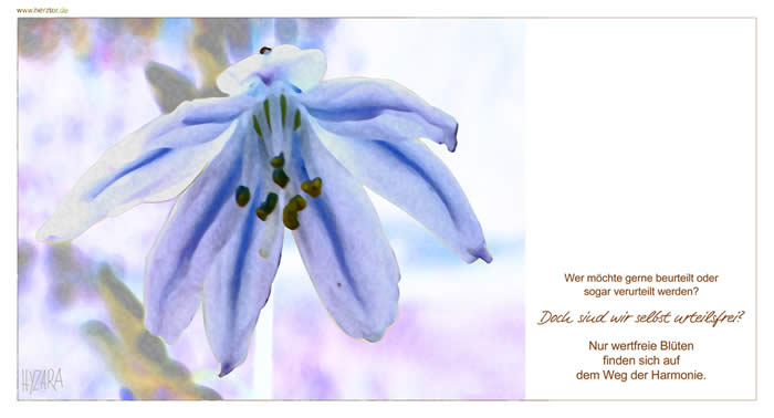 Urteil - Wer möchte gerne beurteilt oder sogar verurteilt werden? Doch sind wir selbst urteilsfrei? Nur wertfreie Blüten finden sich auf dem Weg der Harmonie.