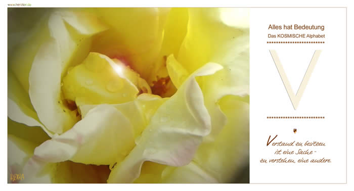 Verstand zu besitzen ist eine Sache - zu verstehen, eine andere. Dieser Buchstabe folgt gleich auf das "U", in dem wir alle HILFE, GEBORGENHEIT und FÜLLE von GOTT erhielten. Mit dem "V" sind wir nun aufgefordert, auch zu GEBEN! Wie eine Pfeilspitze zeigt das "V" nach unten zu uns! Wie ein umgekehrtes "A" handle nun auch Du selbst zum WOHLE ALLER, mit und durch GOTT! Das "V" mit den wir auch das Wort "VATER" assoziieren: So wie Du selbst durch Deinen VATER behütet wirst, so sei auch Du "VATER" für andere. Der Buchstabe steht auch für die männliche Seite unseres Selbst, unseren Verstand und unseren Interlekt und bezieht sich auch auf die materiellen Belange des Lebens. Bringe GEBEN und NEHMEN in EINKLANG und wirke so für Dein Umfeld. V - Das KOSMISCHE Alphabet