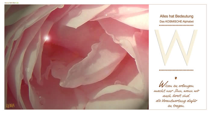 Wissen zu erlangen macht nur Sinn, wenn wir auch bereit sind. die Verantwortung dafür zu tragen. Wie auch das "M" enthält das "W" eine Verdopplung und wirkt somit mit zweifacher KRAFT. In der Mitte findet sich das "A", der ANFANG, den wir bereits beschritten haben und der uns immer umhüllt, wie ein LICHTKEGEL im SCHUTZ des HIMMELS . FOLGE GOTT: dem WEG, der WAHRHEIT, der WEISHEIT und dem WISSEN! Der Buchstabe "W" steht für die höchste Stufe in unserem Alpabeth. ... WUNDER, WEIHNACHT, WEIHUNG, WOHLERGEHEN, WELT, WORT, WÄRME, WILLE ... die Wörter mit "W" enthalten eine WICHTIGKEIT und eine besondere HEILIGKEIT. W - Das KOSMISCHE Alphabet