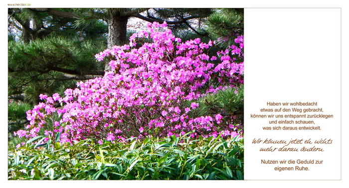 Warten könnnen - Haben wir wohlbedacht etwas auf den Weg gebracht, können wir uns entspannt zurücklegen und einfach schauen, was sich daraus entwickelt. Wir können jetzt eh nichts mehr daran daran ändern. Nutzen wir die Geduld zur eigenen Ruhe.