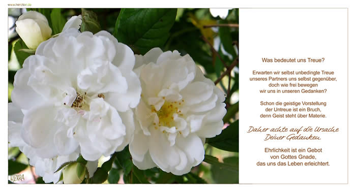 Was bedeutet uns Treue? Erwarten wir selbst unbedingte Treue unseres Partners uns selbst gegenüber, doch wie frei bewegen wir uns in unseren Gedanken? Schon die geistige Vorstellung der Untreue ist ein Bruch, denn Geist steht über Materie. Daher achte auf die Ursache Deiner Gedanken. Ehrlichkeit ist ein Gebot von Gottes Gnade, das uns das Leben erleichtert. 