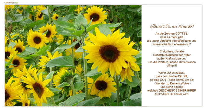 WUNDER - Glaubst Du an Wunder? An die Zeichen GOTTES, dass es mehr gibt, als unser Verstand begreifen kann und wissenschaftlich erwiesen ist? Ereignisse, die alle Gesetzmäßigkeiten der Natur außer Kraft setzen und uns die Pforte zu neuen Dimensionen öffnen?! Wenn DU es zulässt, dass der Himmel Dir hilft, so bitte GOTT doch einmal um ein - Wunder zu Deinem Wohle - und siehe einfach welches GESCHENK SEINER/IHRER ANTWORT DIR zuteil wird.
