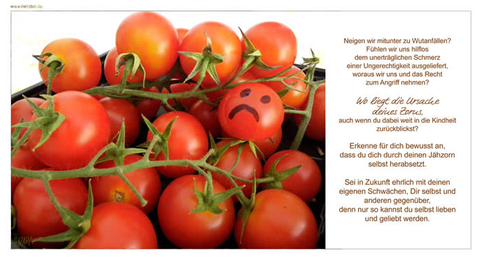 Wut und Zorn - Neigen wir mitunter zu Wutanfällen? Fühlen wir uns hilflos dem unerträglichen Schmerz einer Ungerechtigkeit ausgeliefert, woraus wir uns und das Recht zum Angriff nehmen? Wo liegt die Ursache deines Zorns, auch wenn du dabei weit in die Kindheit zurückblickst? Erkenne für dich bewusst an, dass du dich durch deinen Jähzorn selbst herabsetzt. Sei in Zukunft ehrlich mit deinen eigenen Schwächen, Dir selbst und anderen gegenüber, denn nur so kannst du selbst lieben und geliebt werden.