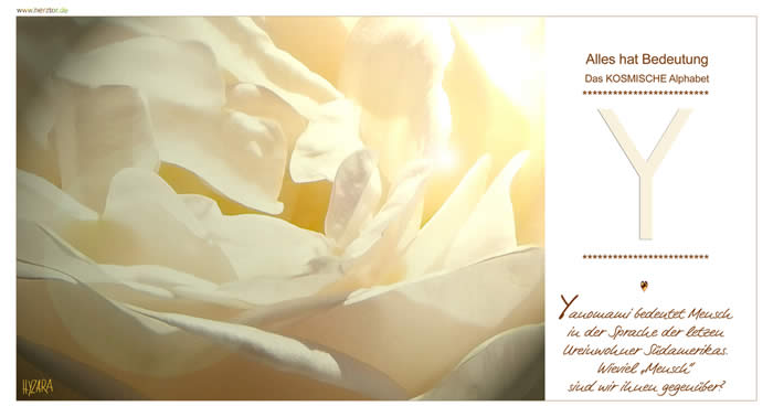 Yanomami bedeutet Mensch in der Sprache der letzen Ureinwohner Südamerikas. Wieviel „Mensch” sind wir ihnen gegenüber? Das "Y" besteht im oberen Teil aus einem "V", SYMBOL der aktiven Handlung und des GEBENS. Es wird zur irdischen Ebene hin verlängert: Wir EMPFANGEN von GOTT und sind gefordert auch zum WOHLE allen LEBENS zu HANDELN. GOTT wirkt durch uns, wie ein KANAL DIENEN wir GOTT, so wie GOTT uns DIENT. Wie Arme, die weit zum HIMMEL geöffnet sind, BITTE und Dir wird GEGEBEN. Du bist BOTSCHAFTER des LICHTS und der LIEBE GOTTES. Auch SYMBOL aktiv zu HANDELN, aus Worten - Taten werden zu lassen. ZEICHEN, duale Systeme in die EINHEIT zu führen und somit SYMBOL der NICHT-POLARITÄT.