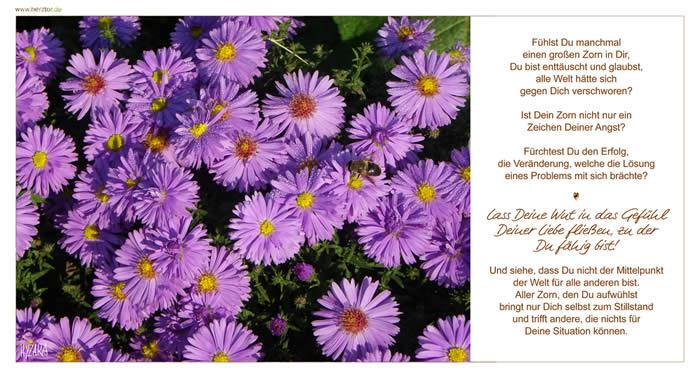 Fühlst Du manchmal einen großen Zorn in Dir, Du bist enttäuscht und glaubst, alle Welt hätte sich gegen Dich verschworen? Ist Dein Zorn nicht nur ein Zeichen Deiner Angst? Fürchtest Du den Erfolg, die Veränderung, welche die Lösung eines Problems mit sich brächte? Lass Deine Wut in das Gefühl Deiner Liebe fließen, zu der Du fähig bist! Und siehe, dass Du nicht der Mittelpunkt der Welt für alle anderen bist. Aller Zorn, den Du aufwühlst bringt nur Dich selbst zum Stillstand und trifft andere, die nichts für Deine Situation können. zornig?